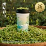 霸王茶姬-醒时春山中杯